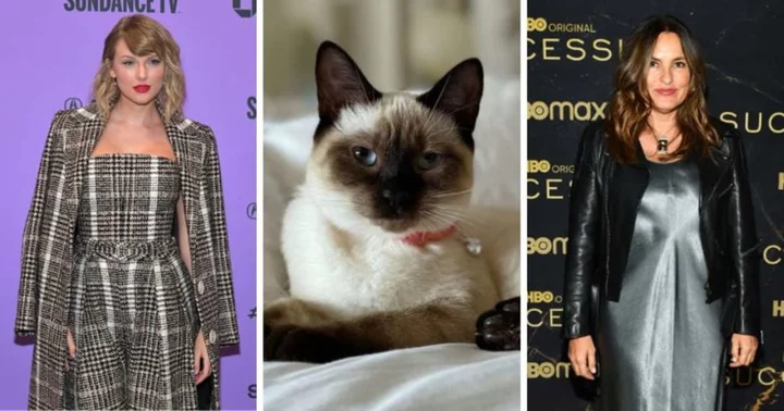 Fans celebrate Taylor Swift and Mariska Hargitay's bond over cats as actor names kitten after singer's hit track 'Karma'